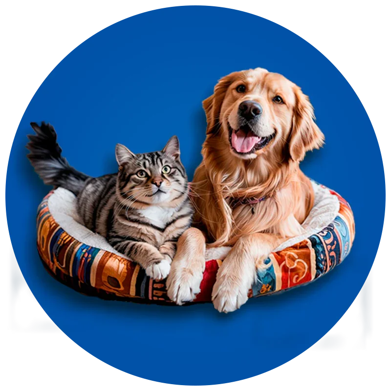Pet Shop