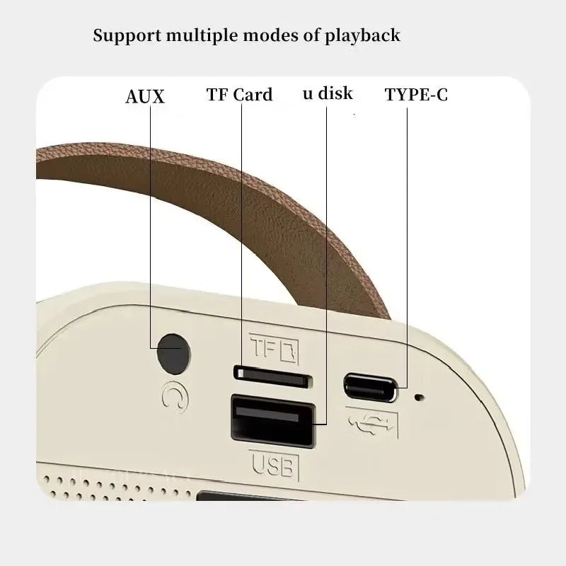 Caixa de Som e Karaokê com 2 Microfones Bluetooth